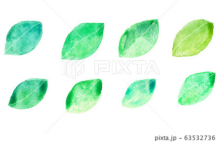 水彩の葉の手描きイラスト 63532736