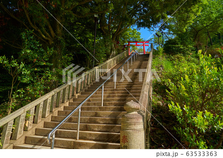 東京八王子市 新緑の高尾山薬王院 飯縄権現堂(本社)へ向かう石段 63533363