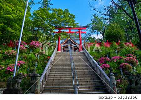 東京八王子市 新緑の高尾山薬王院 飯縄権現堂(本社)へ向かう石段 63533366