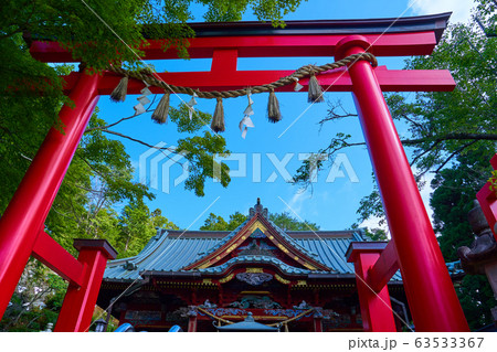 東京八王子市 新緑の高尾山薬王院 飯縄権現堂 63533367