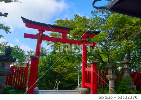 東京八王子市 新緑の高尾山薬王院 飯縄権現堂前の鳥居 63533370