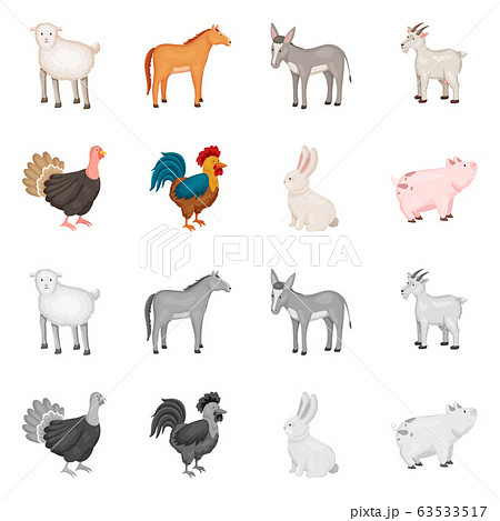 Vector design of breeding and kitchen sign. Collection of breeding and organic vector icon for stock. 63533517