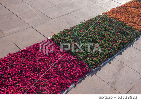 マラケッシュ 世界最大のスーク マラケッシュ 世界最大のスーク 63533923