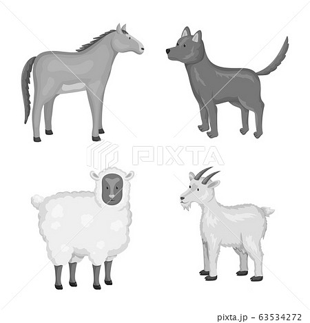 Isolated object of homestead and agriculture symbol. Set of homestead and kitchen stock vector illustration. Isolated object of homestead and agriculture symbol. Set of homestead and kitchen stock vector illustration. 63534272