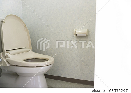 トイレ 全身 横向き ペーパー 壁紙 床 リフォーム 水回り 水漏れ クッションフロア 狭い の写真素材
