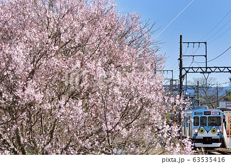 桜と伊賀鉄道の電車 桜と伊賀鉄道の電車 63535416