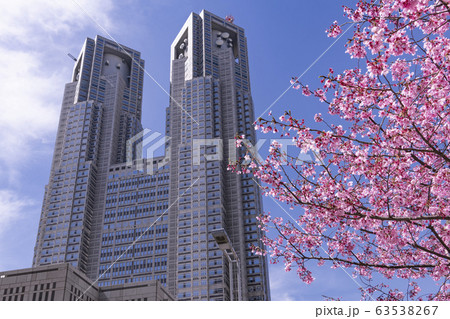 都市風景　東京都庁と桜 63538267