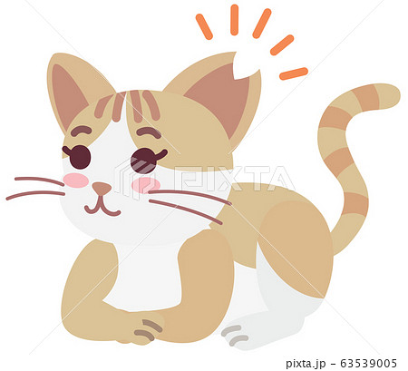 不妊手術と耳カットをした地域猫の女の子 63539005