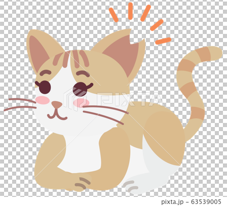 Local cat girl with sterilization and ear cut 63539005