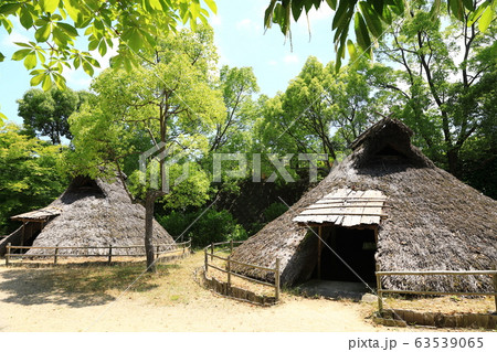 弥生の森歴史公園 弥生の森歴史公園 63539065