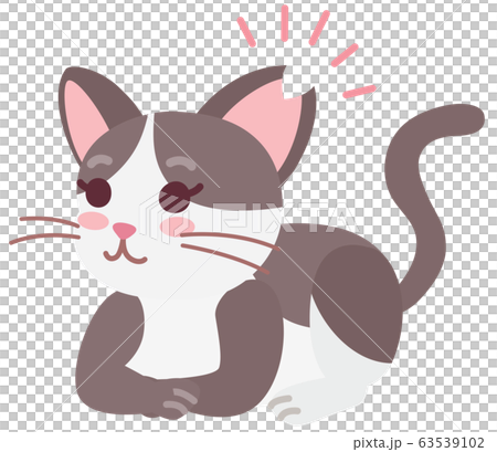 不妊手術と耳カットをした地域猫の女の子 不妊手術と耳カットをした地域猫の女の子 63539102