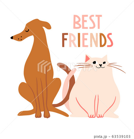 Best friends. Cute hand drawn cat and dog characters 63539103
