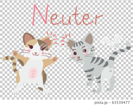 Illustration of the regional cat TNR Neuter 63539477