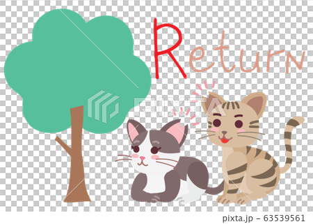 Explanation illustration of local cat TNR Return 63539561