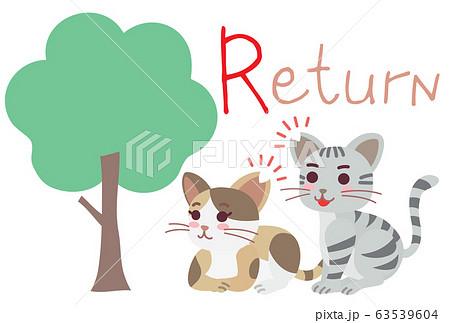 地域猫TNRの説明イラスト　Return 63539604
