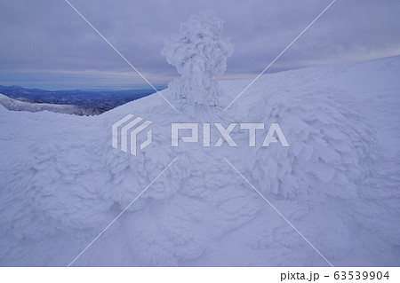 蔵王山のエビの尻尾 63539904