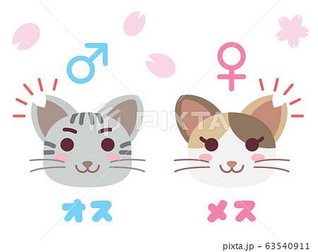 耳カットした地域猫のペアのイラスト 63540911