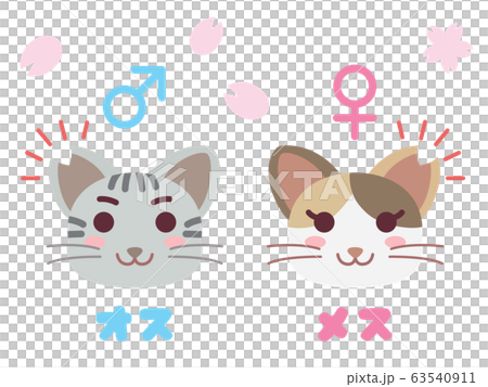 耳カットした地域猫のペアのイラスト 63540911