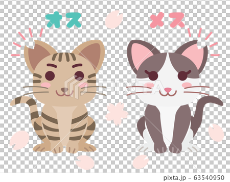耳カットした地域猫のペアのイラスト 63540950
