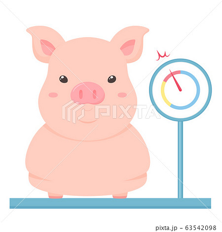 太った豚のイラスト 体重計のイラスト素材