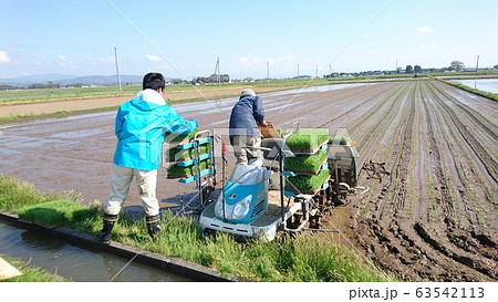 田植え 田植え 63542113