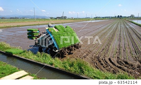 田植え機 63542114