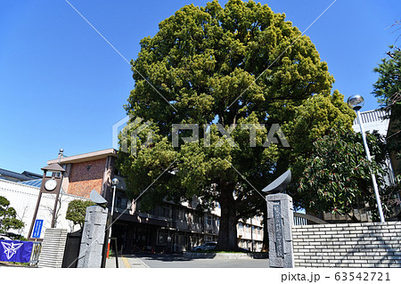 街風景　初春の川越 63542721