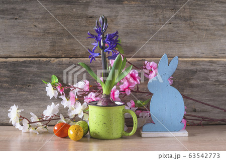Easter holiday composition. Purple hyacinth Easter holiday composition. Purple hyacinth 63542773