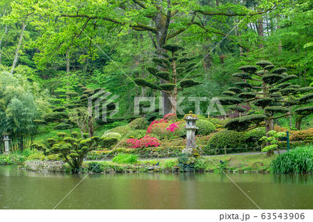 figured crop of plants  and pond in japanese garden, France 63543906