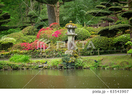 figured crop of plants and pond in japanese garden, France figured crop of plants and pond in japanese garden, France 63543907