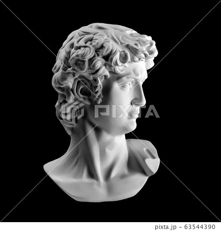 Gypsum statue of David's head. Michelangelo's Gypsum statue of David's head. Michelangelo's 63544390