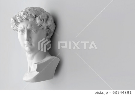 Gypsum statue of David's head. Michelangelo's Gypsum statue of David's head. Michelangelo's 63544391