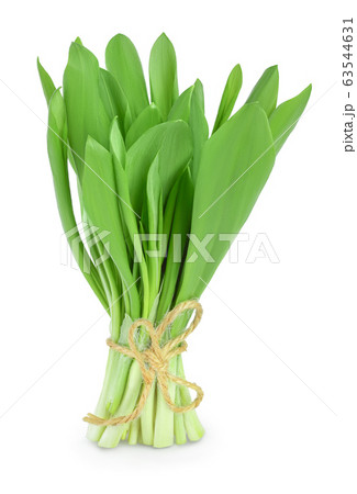 Ramson bunch vegetable isolated on white background with clipping path and full depth of field 63544631