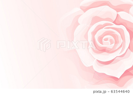 Flower soft background with cream rose flower bud 63544640