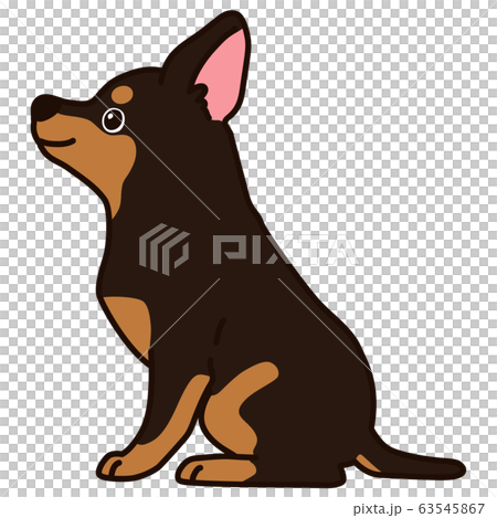 提供坐式微型短毛獵犬側向幹線 提供坐式微型短毛獵犬側向幹線 63545867