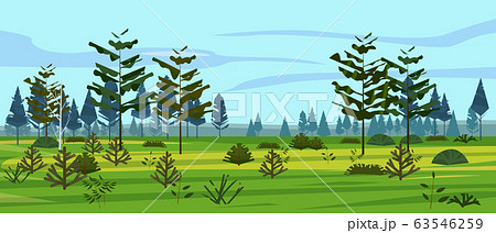Meadow and forest landscape nature, spruce pine trees, grass and bushes. Panorama scenery. Vector illustration banner poster template trendy style Meadow and forest landscape nature, spruce pine trees, grass and bushes. Panorama scenery. Vector illustration banner poster template trendy style 63546259