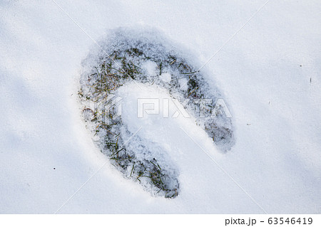 Footprint of horseshoe in snow Footprint of horseshoe in snow 63546419