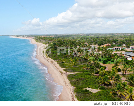 Aerial view of tropical ocean and palm trees forest during sunny day. Praia do Forte 63546989