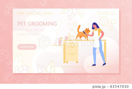 Preparing Cat for an Exhibition, Pet Grooming. 63547030