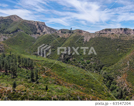 Aerial view of Angeles National Forests mountain, California, USA. 63547204