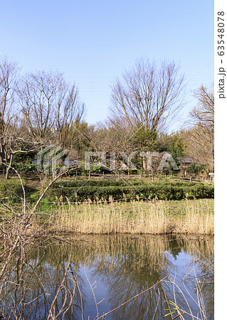 舞岡（春） 63548078