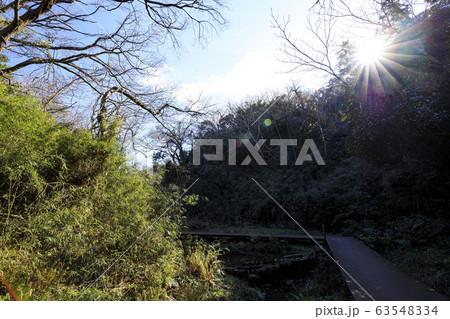 湿原 湿原 63548334