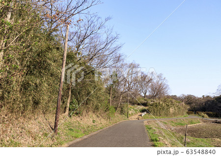 舞岡(春) 舞岡(春) 63548840