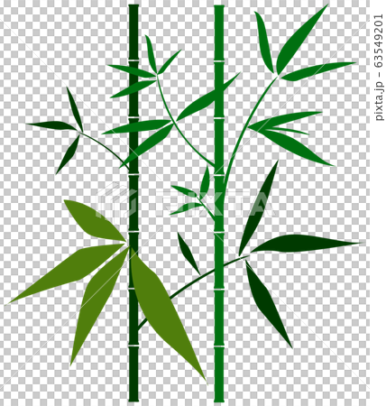 竹 笹 七夕や竹藪の風景イメージなどにのイラスト素材
