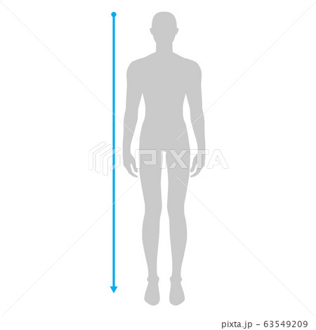 Men measurements fashion. 63549209