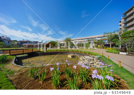 堀切菖蒲園 堀切菖蒲園 63549649