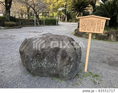 たたり石 63551717