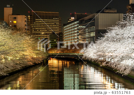 門前仲町　夜桜　2019年 63551763