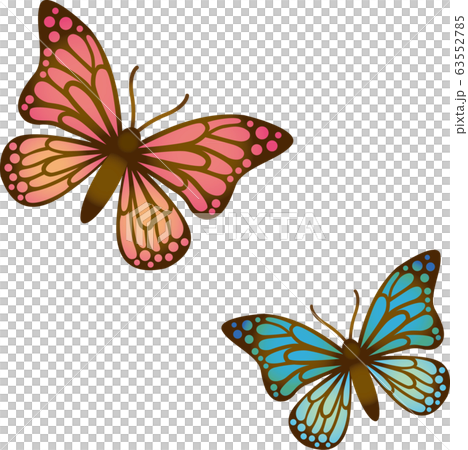蝶々のイラスト素材