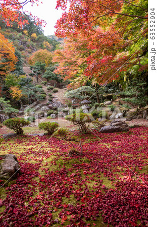 滋賀県 米原市 清瀧寺徳源院の紅葉のお庭 滋賀県 米原市 清瀧寺徳源院の紅葉のお庭 63552904